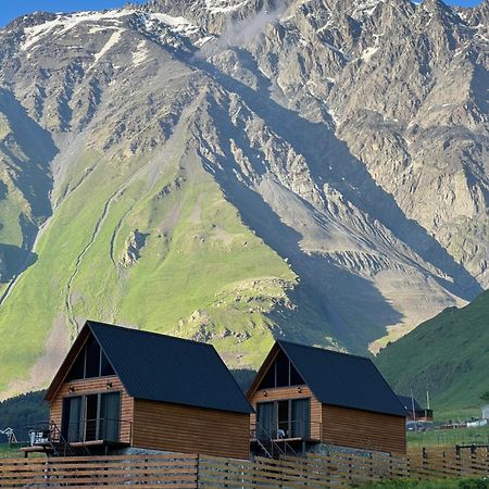 Traveler'S Cottages In Kazbegi ภายนอก รูปภาพ
