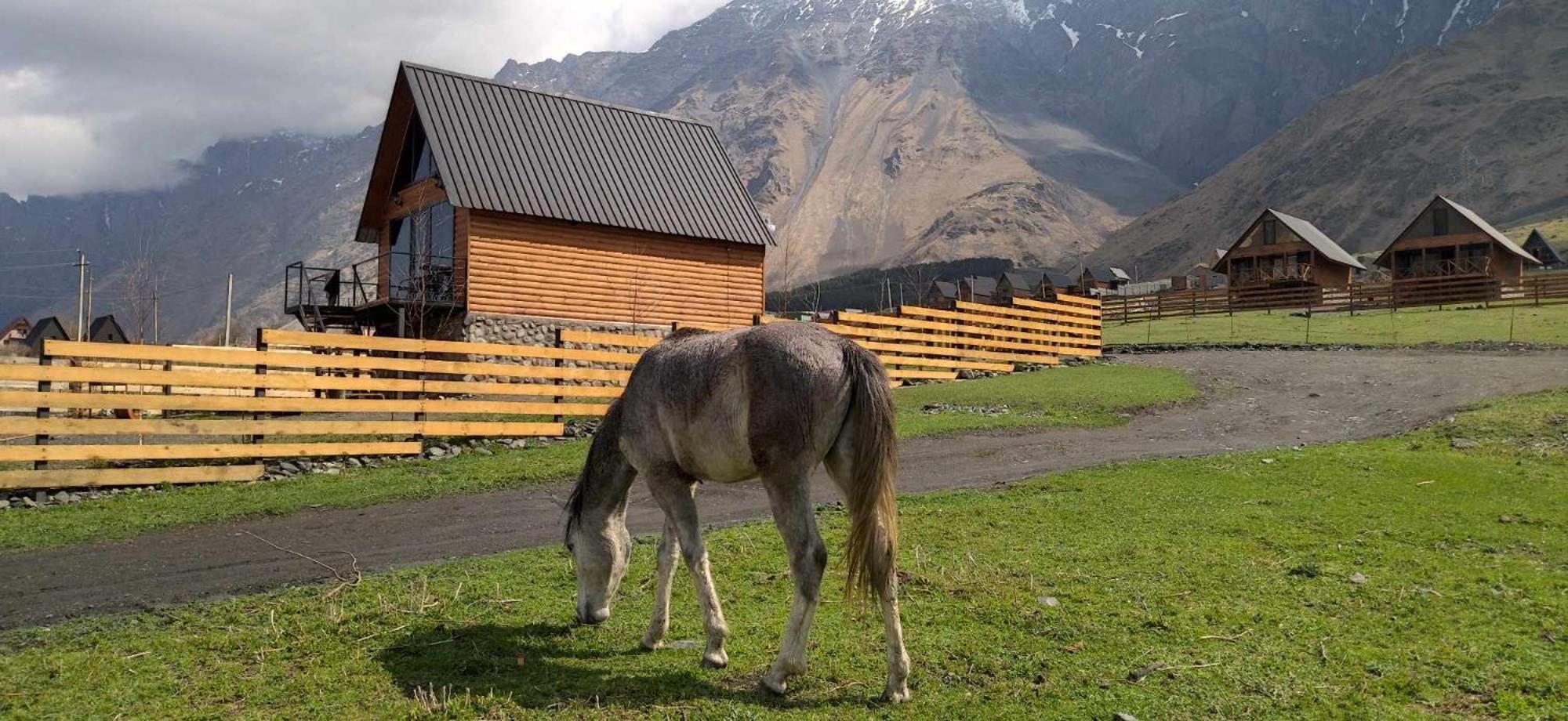 Traveler'S Cottages In Kazbegi ภายนอก รูปภาพ